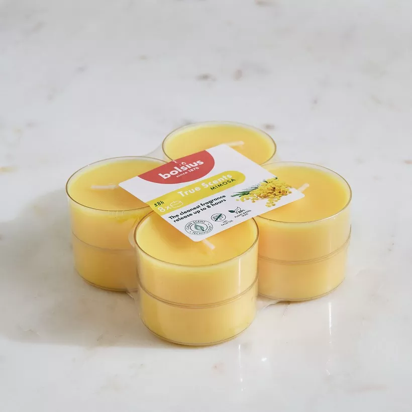 Bolsius 8-Piece Mimosa Scented Maxi Light Set - 375 gm - Image 2