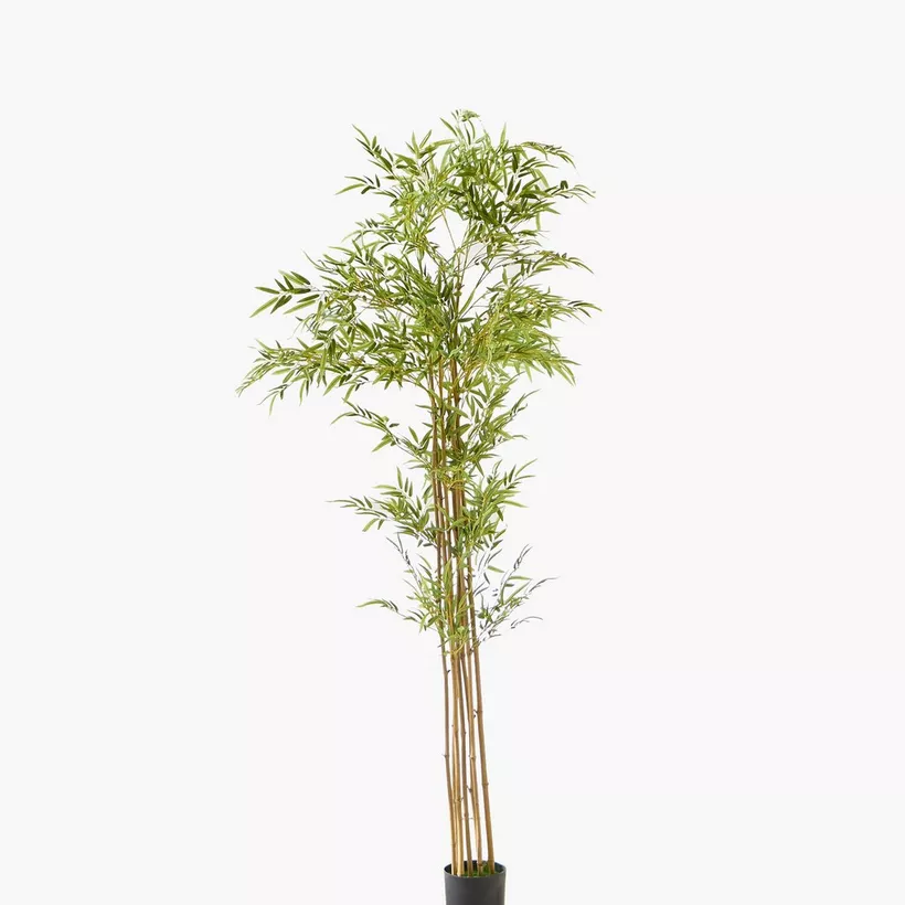Teodora Artificial Bamboo Tree - 220 cm - Image 2