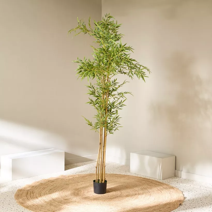 Teodora Artificial Bamboo Tree - 220 cm - Image 3