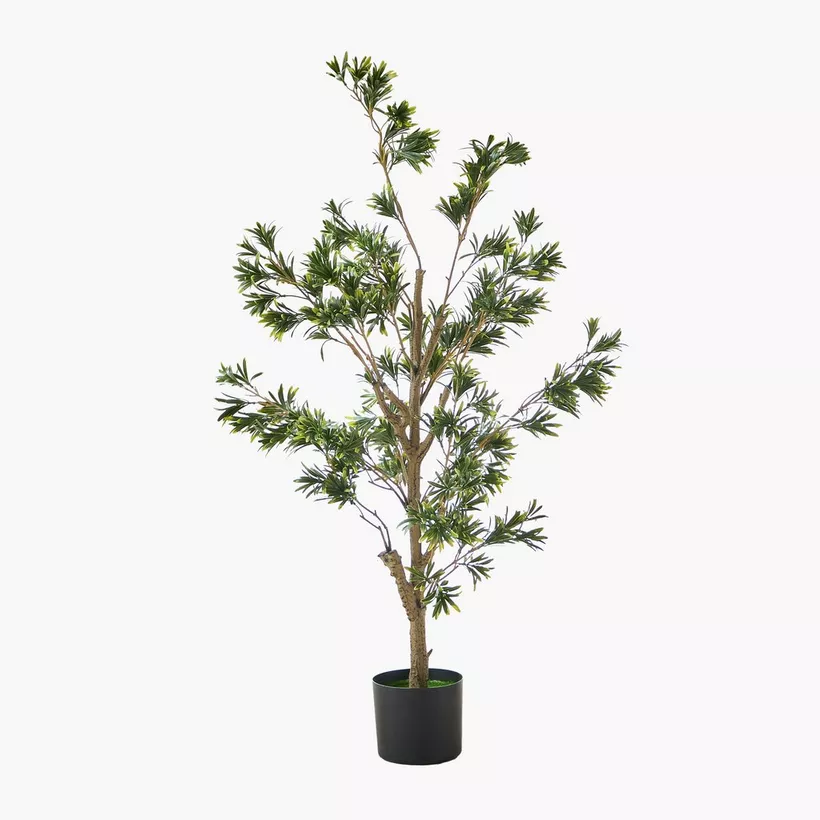 Teodora Artificial Podocarpus Tree - 100 cm - Image 2