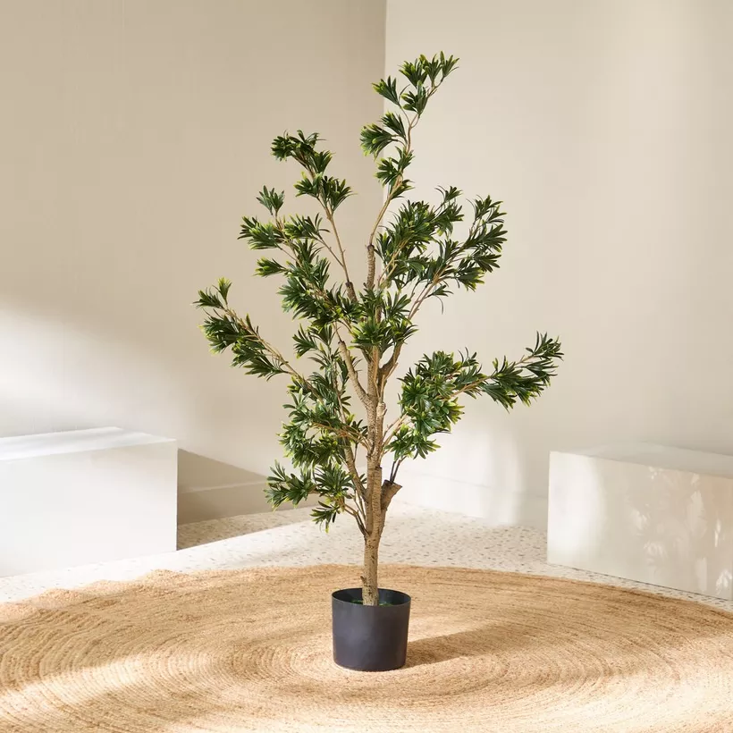Teodora Artificial Podocarpus Tree - 100 cm - Image 3