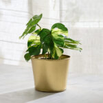 Avya Basic Metal Plant Pot - 12.5x12.5x10 cm