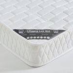SleepEase iMagna Lux Nxt Knitted Fabric High Resilience Foam Bonnell Spring Mattress - 120x200x22 cm