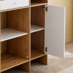 Bruno Alford 1-Door Multipurpose Cabinet with 1 Drawer