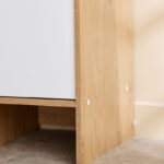 Bruno Alford 1-Door Multipurpose Cabinet with 1 Drawer