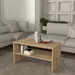 Modulix Elesa Coffee Table with Shelf - Image 11