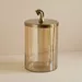 Astro Decor Jar with Horse Lid - 15x15x27 cm - Image 9