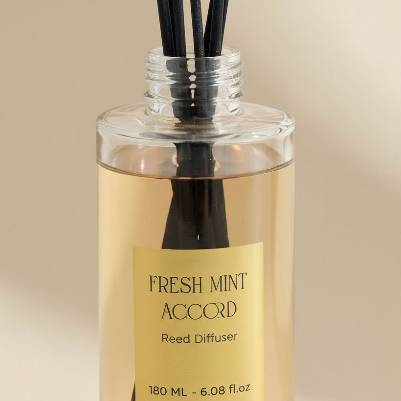 Evode Fresh Mint Accord Reed Diffuser - 180 ml - Image 3