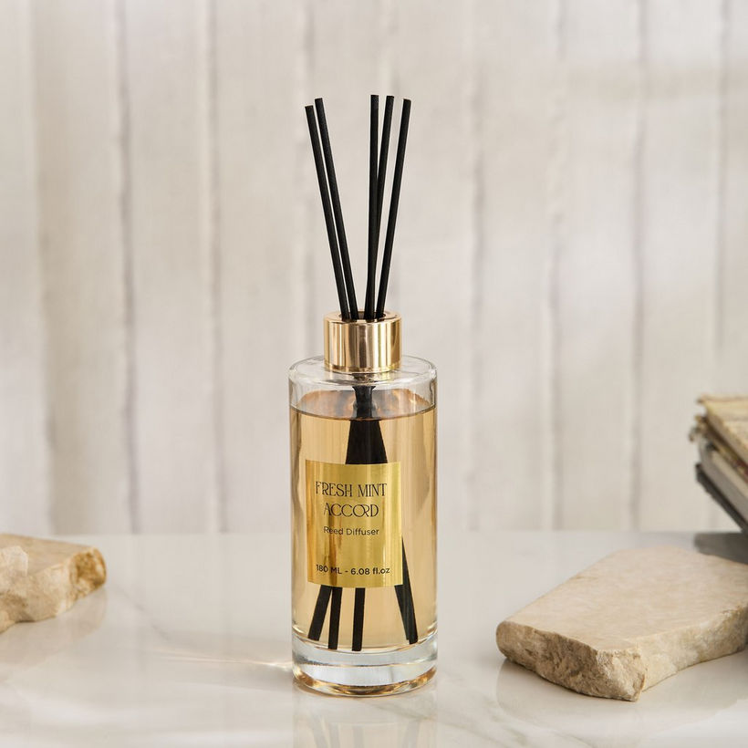 Evode Fresh Mint Accord Reed Diffuser - 180 ml - Image 6