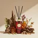 Evode Premium Collection Oud Amber Reed Diffuser - 450 ml - Image 9