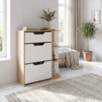 Modulix Fargo Smyrna 8-Pair 2-Door Shoe Cabinet with 1-Drawer
