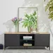 Siesta 1.45 Meter TV Unit for TV up to 60 inches - Image 8