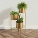 Vista Ace Premium Metal Foldable Planter Stand - 21x21x71 cm - Image 10