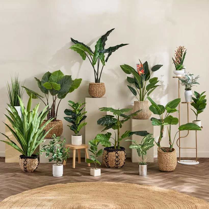Evergreen Artificial Alocasia Potted Plant - 100 cm - Image 4