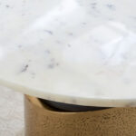 Cavon Pegas Genuine Marble Top Coffee Table