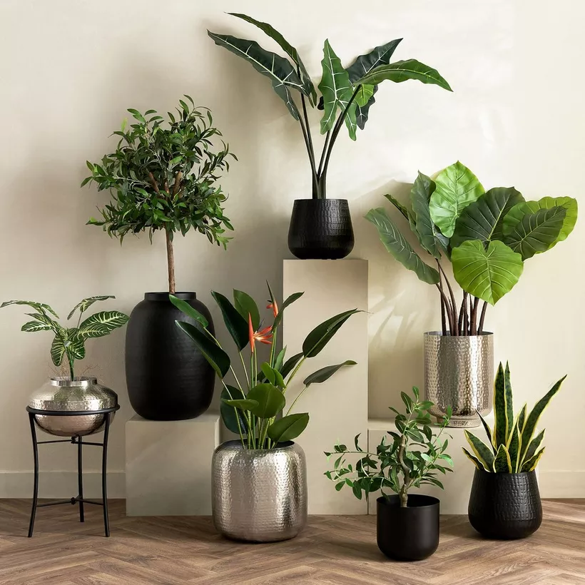 Monochrome Avya Metal Round Planter - 19x19x17 cm - Image 5