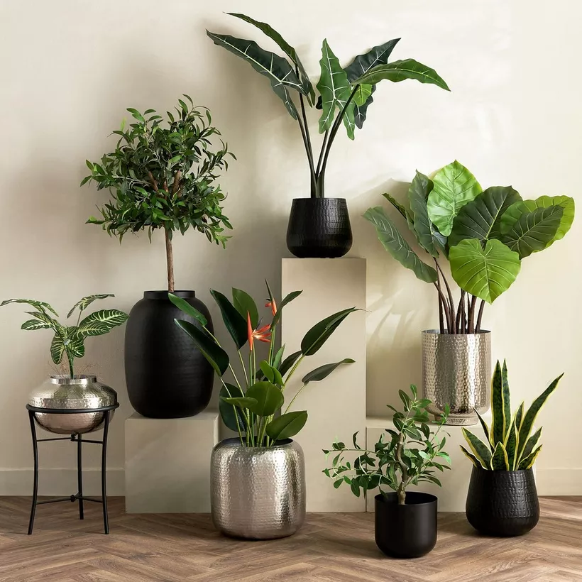 Monochrome Avya Metal Hammered Planter with Stand - 30.5x30.5x51 cm - Image 6