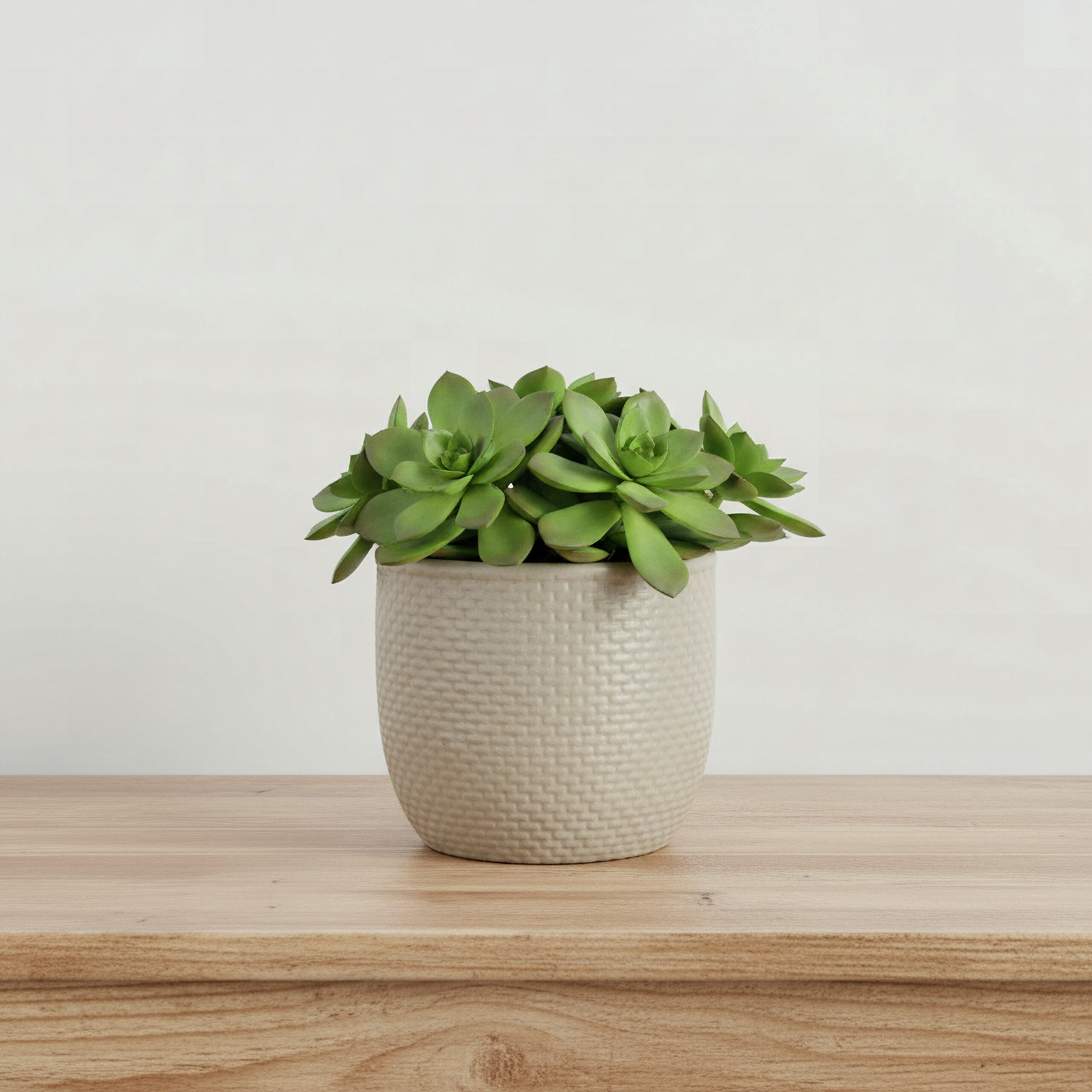 Sansa Siera Ceramic Planter - 12.5x12.5x11 cm