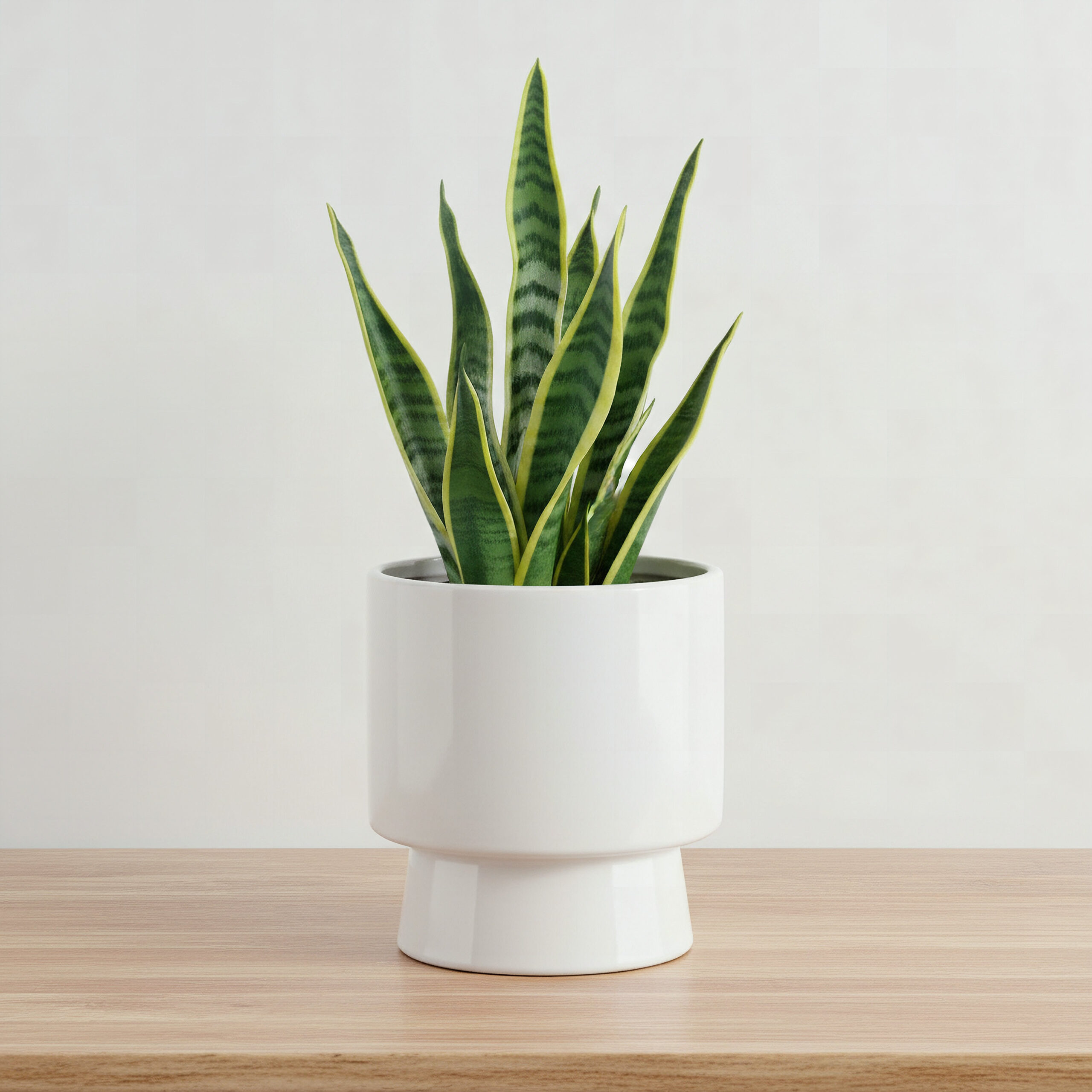 Sansa Siera Ceramic Planter - 14x14x15 cm