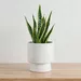 Sansa Siera Ceramic Planter - 14x14x15 cm - Image 6