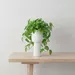 Sansa Siera Ceramic Planter - 12.5x12.5x29 cm - Image 6