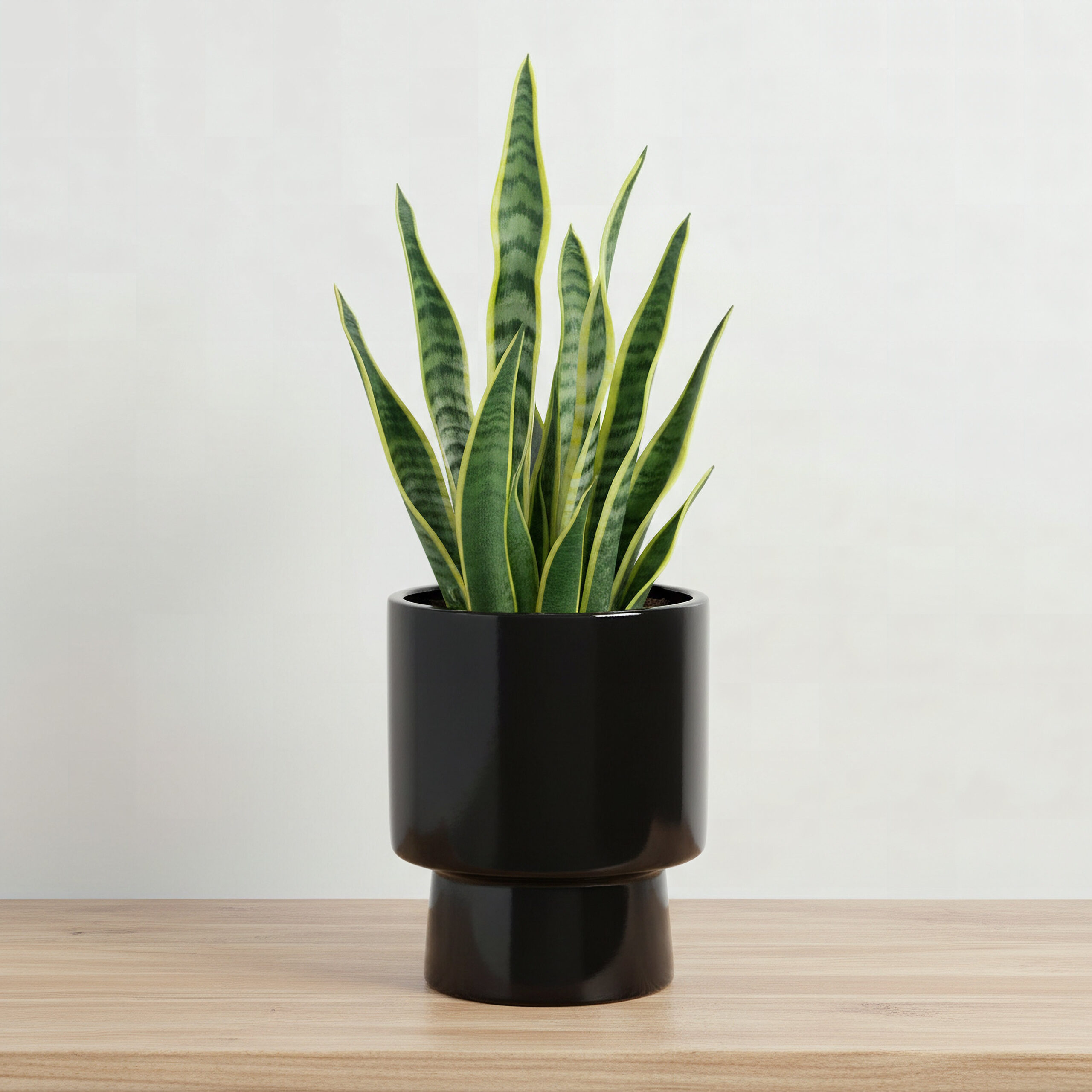 Sansa Siera Ceramic Planter - 15x15x19 cm