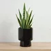 Sansa Siera Ceramic Planter - 15x15x19 cm - Image 5