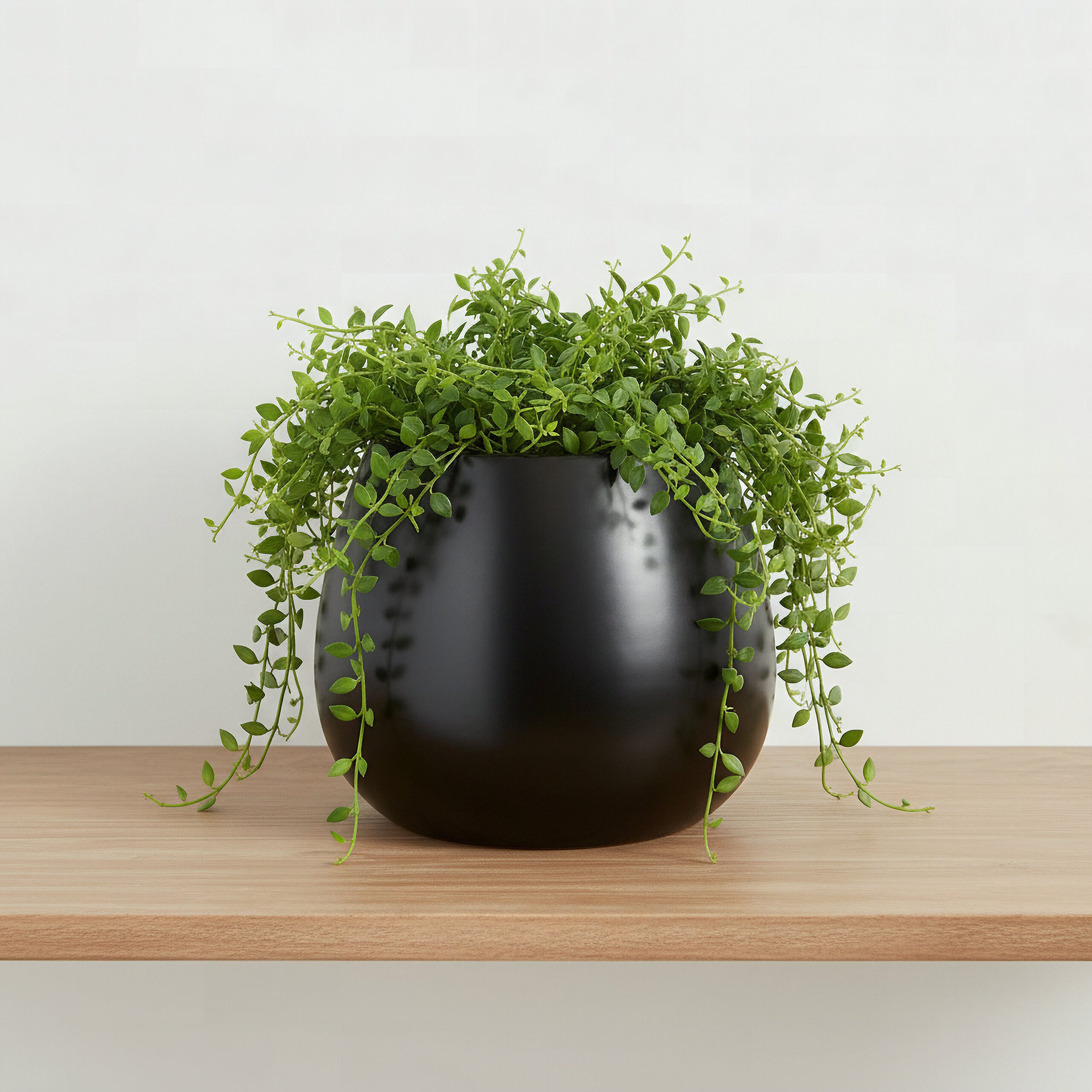 Sansa Siera Medium Ceramic Planter - 24x24x20 cm