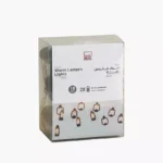 Elio 10 LED Warm White 2AA Lantern Ornament String Light - 1.35 M