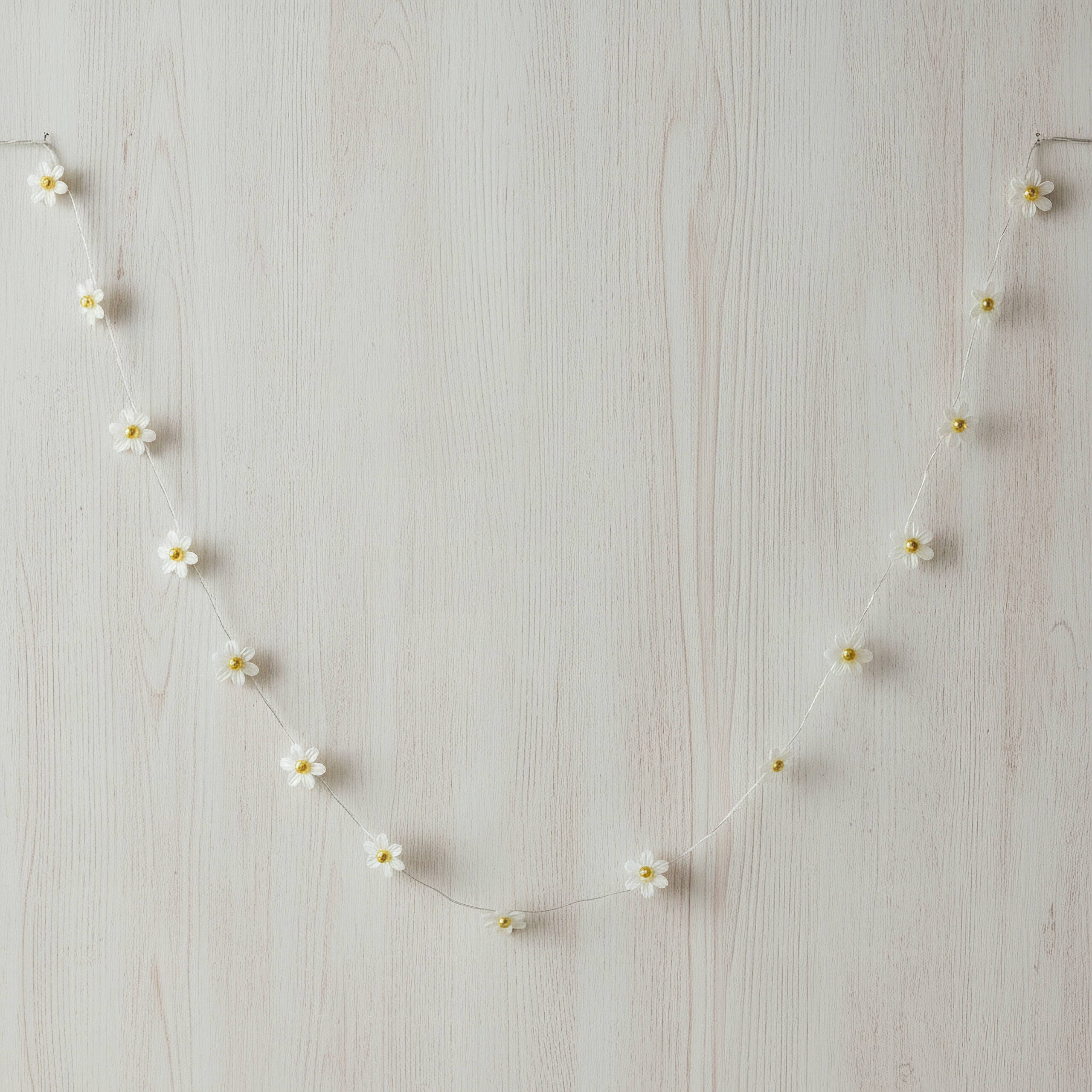 Elio 20-Piece Warm LED 2AA Flower 1.7 Metre String Light