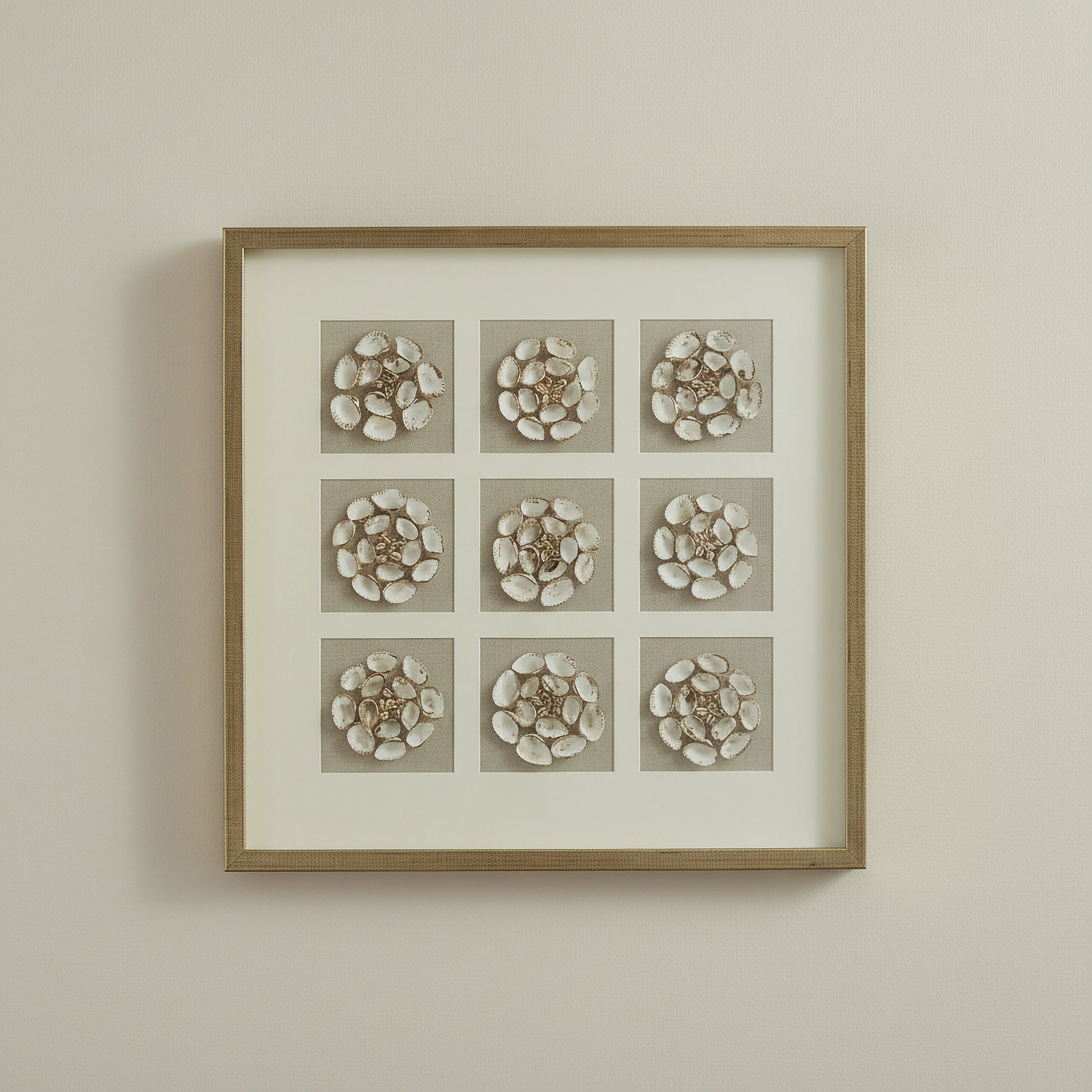Aurum Olivia Luxe Shell Shadow Box with Frame - 60x60 cm