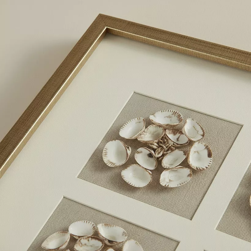 Aurum Olivia Luxe Shell Shadow Box with Frame - 60x60 cm - Image 4