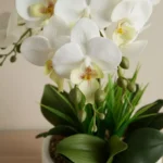 Areos Artificial Orchid Potted Plants in Ceramic Pot - 20.3x20.3x56 cm
