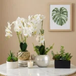 Areos Artificial Orchid Potted Plants in Ceramic Pot - 60 cm
