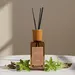 Nuvori Scentelier Verbena and Patchouli Reed Diffuser - 200 ml - Image 6