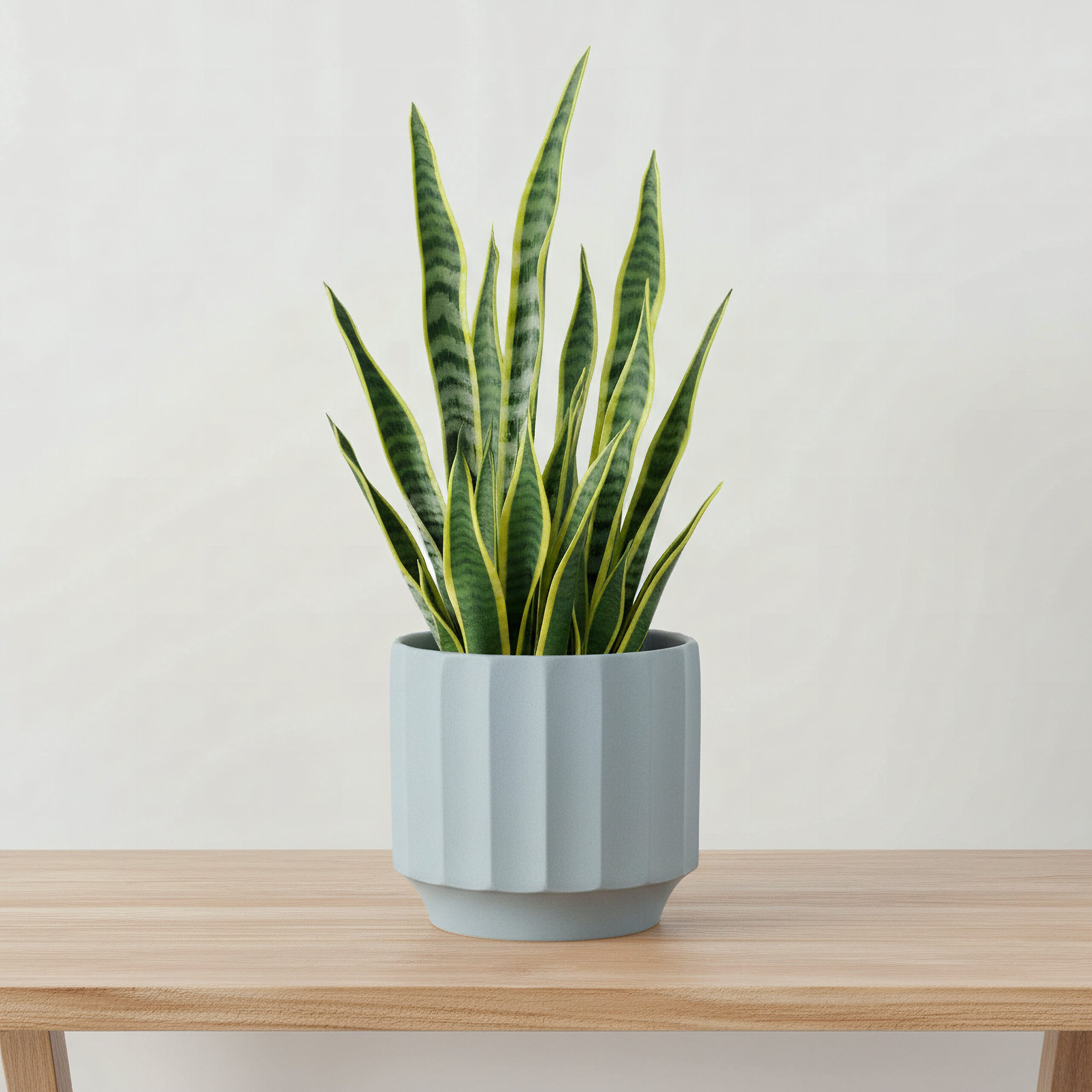 Opaline Vogish Decorative Ceramic Planter - 19x19x17 cm