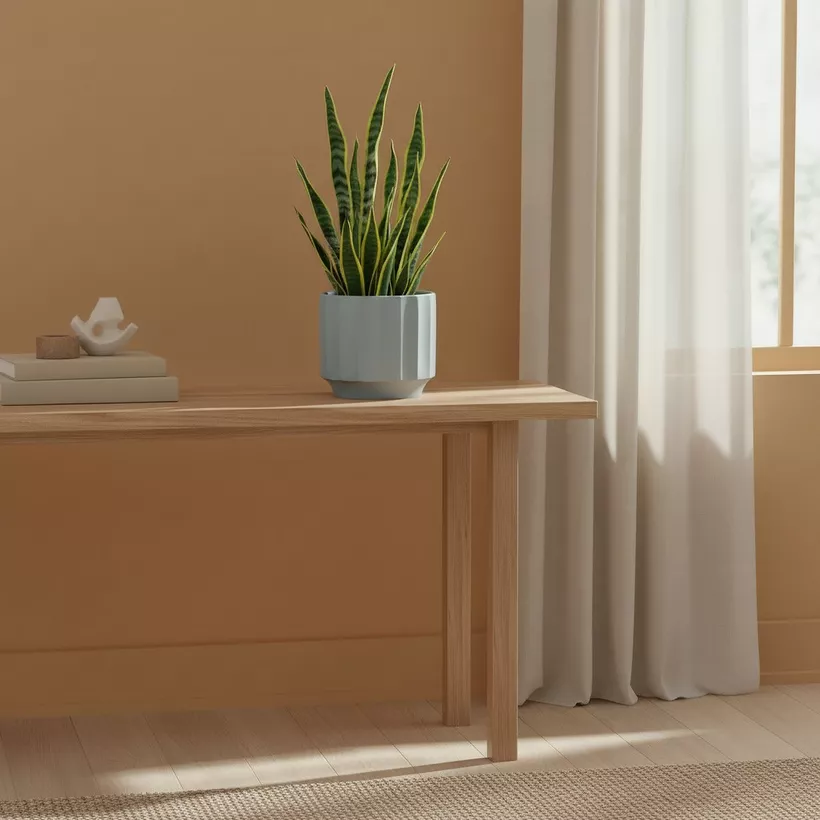Opaline Vogish Decorative Ceramic Planter - 19x19x17 cm - Image 5