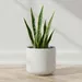 Opaline Vogish Decorative Ceramic Planter - 20.5x20.5x18.5 cm - Image 5