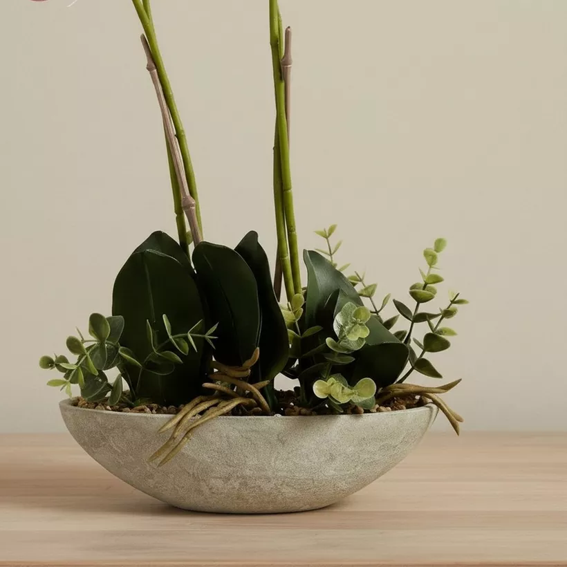 Areos Artificial Orchid Plant in Paper Pulp Pot - 50 cm - Image 4