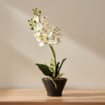 Areos Artificial Orchid Plant in Ceramic Pot - 46 cm