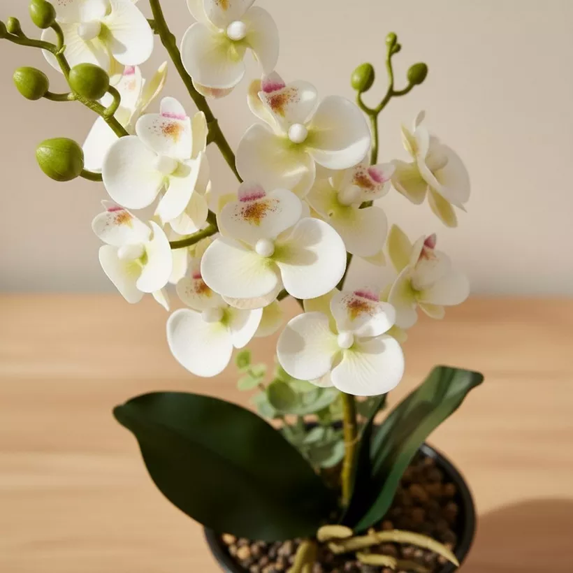 Areos Artificial Orchid Plant in Ceramic Pot - 46 cm - Image 3