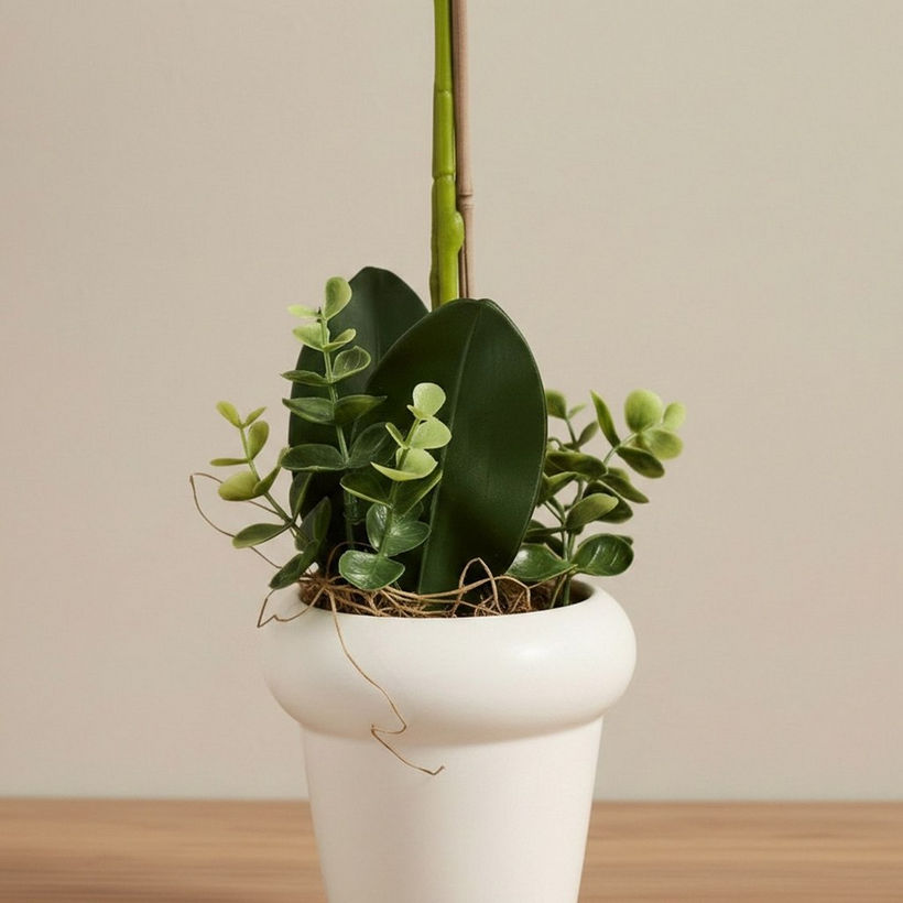 Areos Artificial Orchid Plant in Ceramic Pot - 45 cm - Image 3
