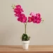 Areos Artificial Orchid Plant in Ceramic Pot - 45 cm - Image 4