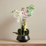 Areos Artificial Orchid Plant in Ceramic Pot - 50 cm