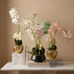 Areos Artificial Orchid Plant in Ceramic Pot - 50 cm