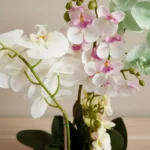 Areos Artificial Orchid Plant in Ceramic Pot - 50 cm