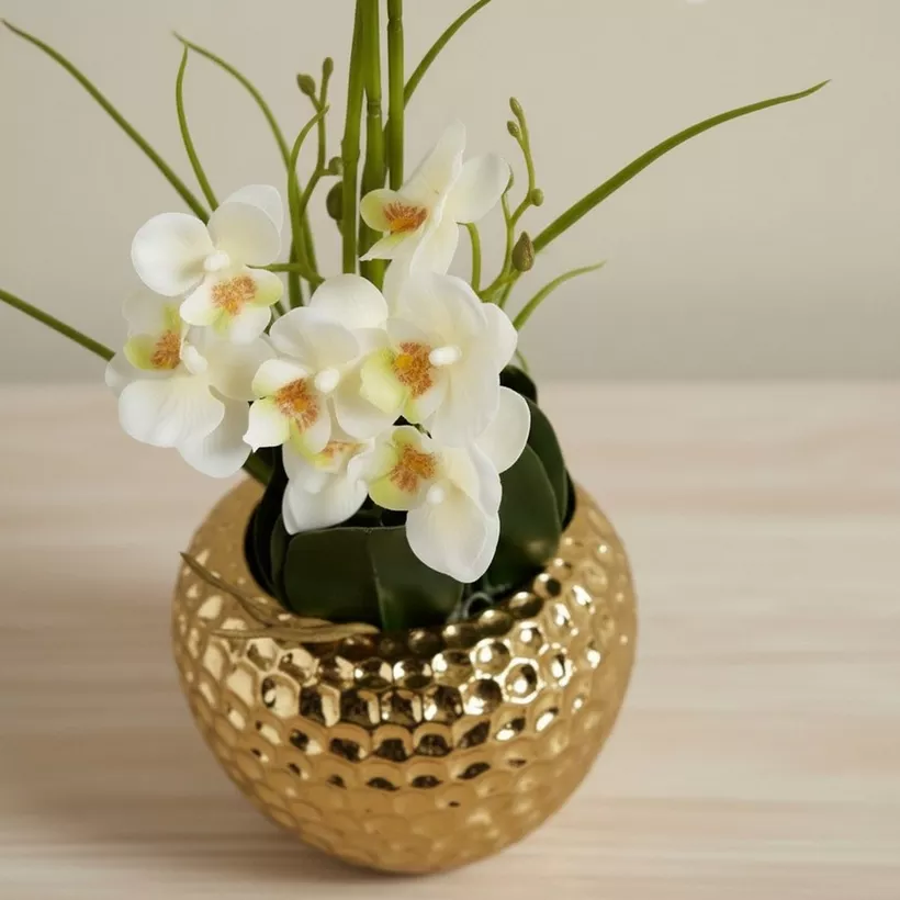 Areos Artificial Orchid Plant in Ceramic Pot - 55 cm - Image 3