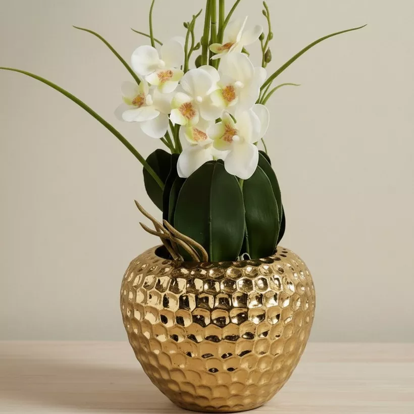 Areos Artificial Orchid Plant in Ceramic Pot - 55 cm - Image 4