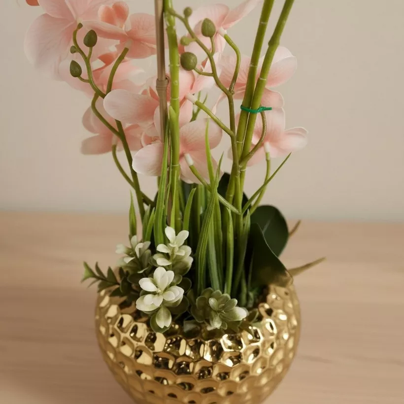 Areos Artificial Orchid Plant in Ceramic Pot - 60 cm - Image 3