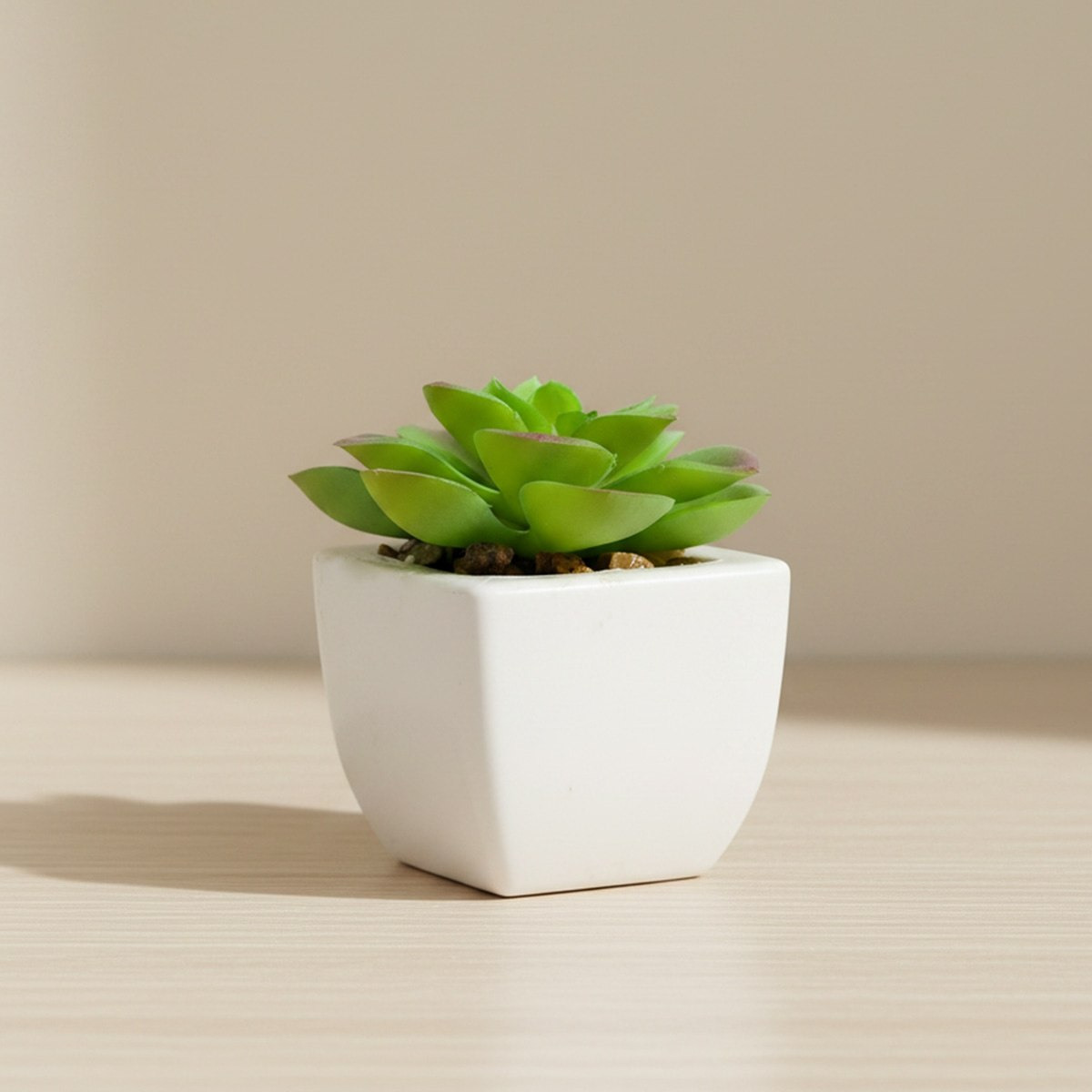 Tant Artificial Succulent Potted Plant in Pot - 6.5 cm